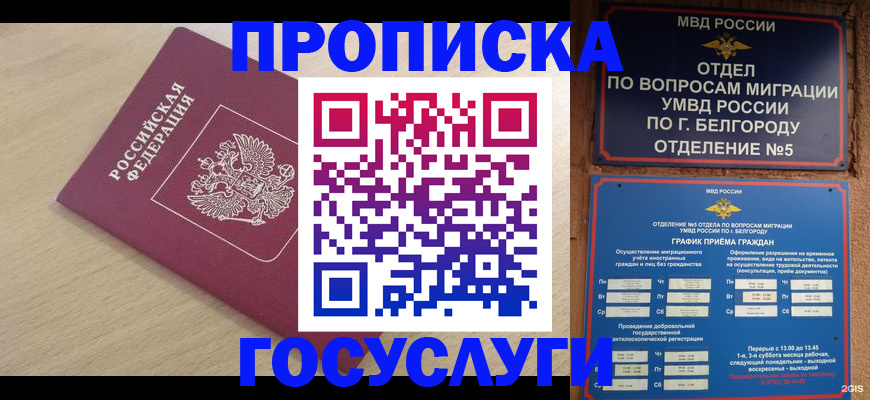 прописка законно в Зее